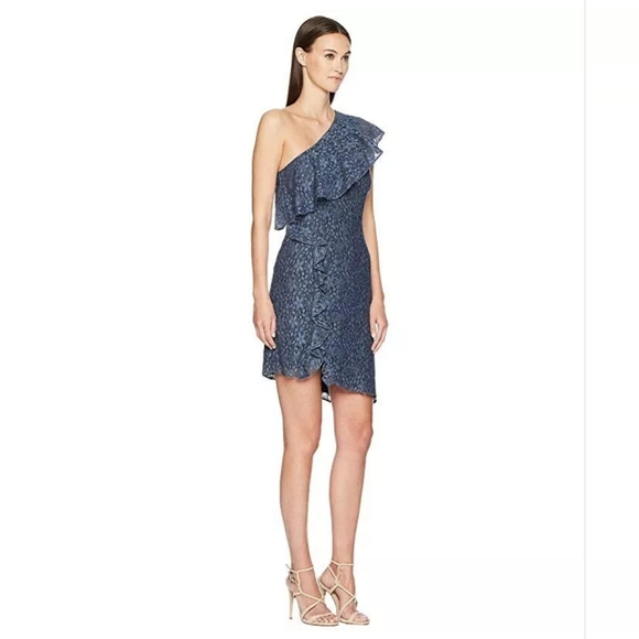 NWT Zac Posen Kyra One Shoulder Lace Dress, Size 6 - Picture 4 of 13